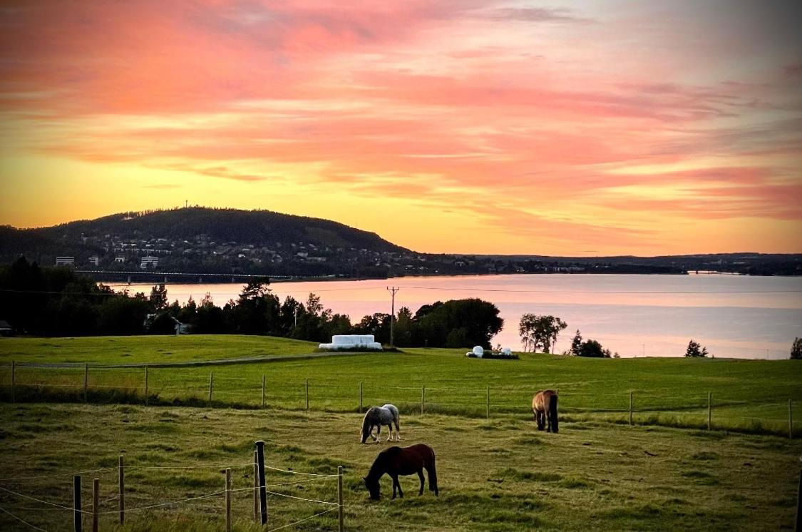 Scenic Small Guesthouse On Horse Farm By The Lake Froso ภายนอก รูปภาพ