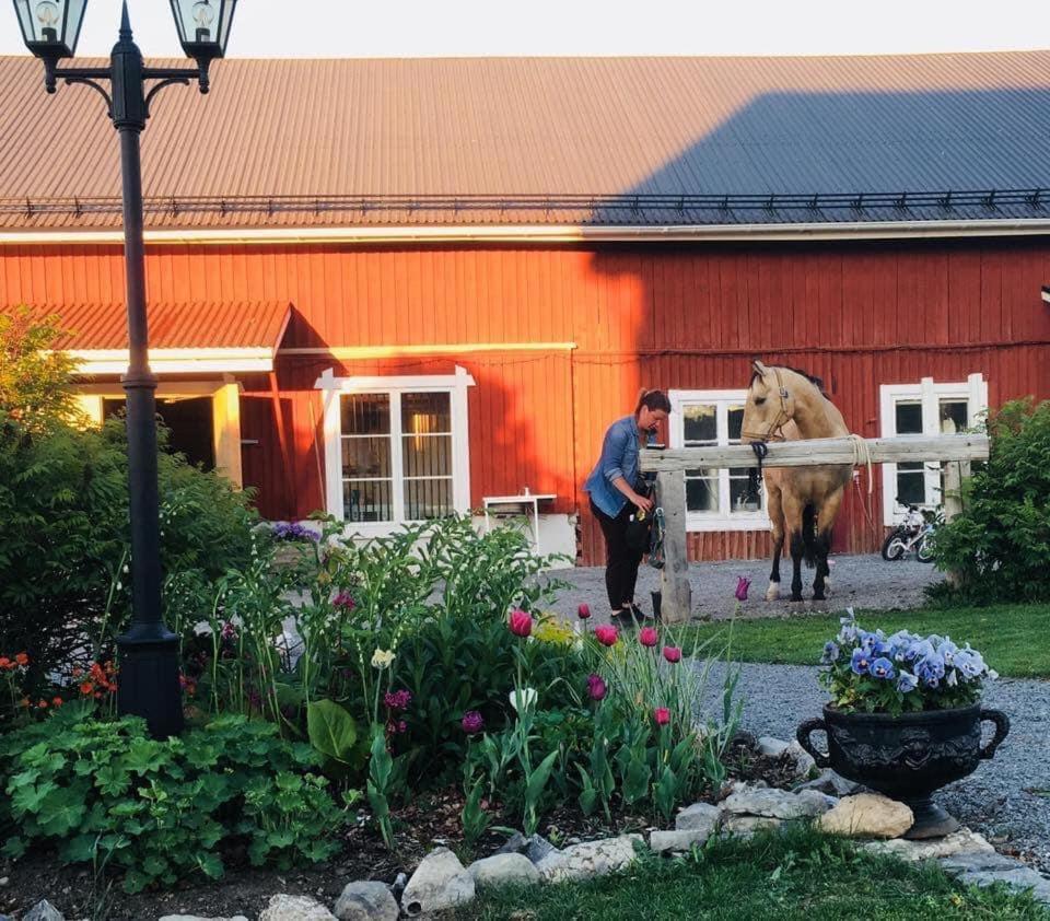 Scenic Small Guesthouse On Horse Farm By The Lake Froso ภายนอก รูปภาพ